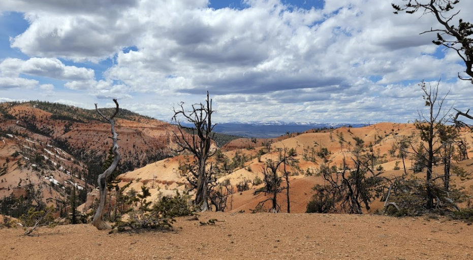 Customer photo of a Bryce-area overlook with clouds